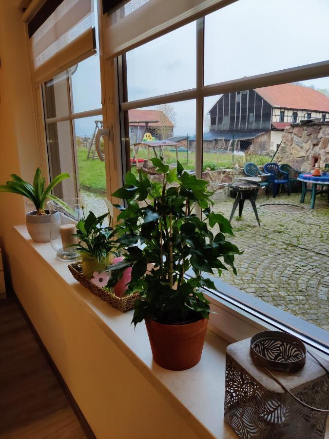 Ferienwohnung Brunow "In Der Natur Zuhause" Neundorf  Εξωτερικό φωτογραφία