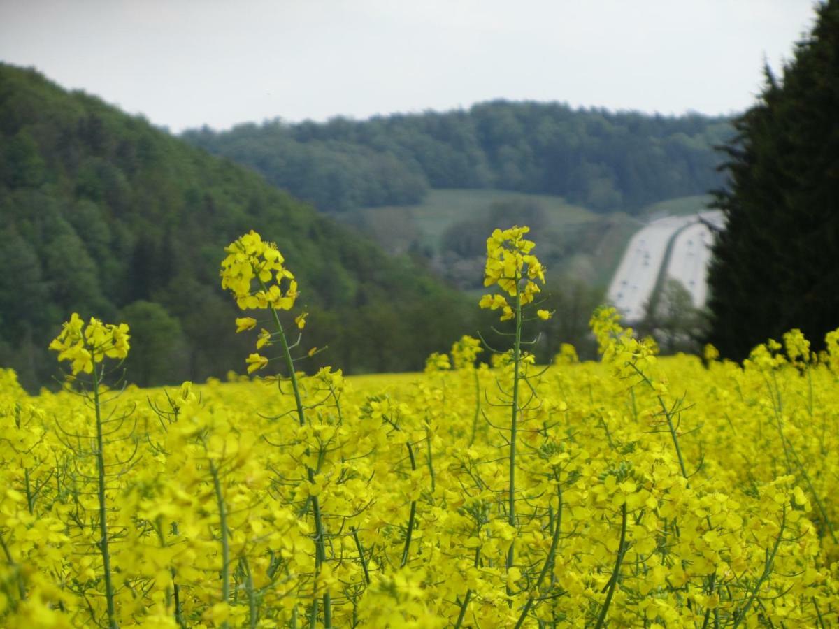 Ferienwohnung Brunow "In Der Natur Zuhause" Neundorf  Εξωτερικό φωτογραφία